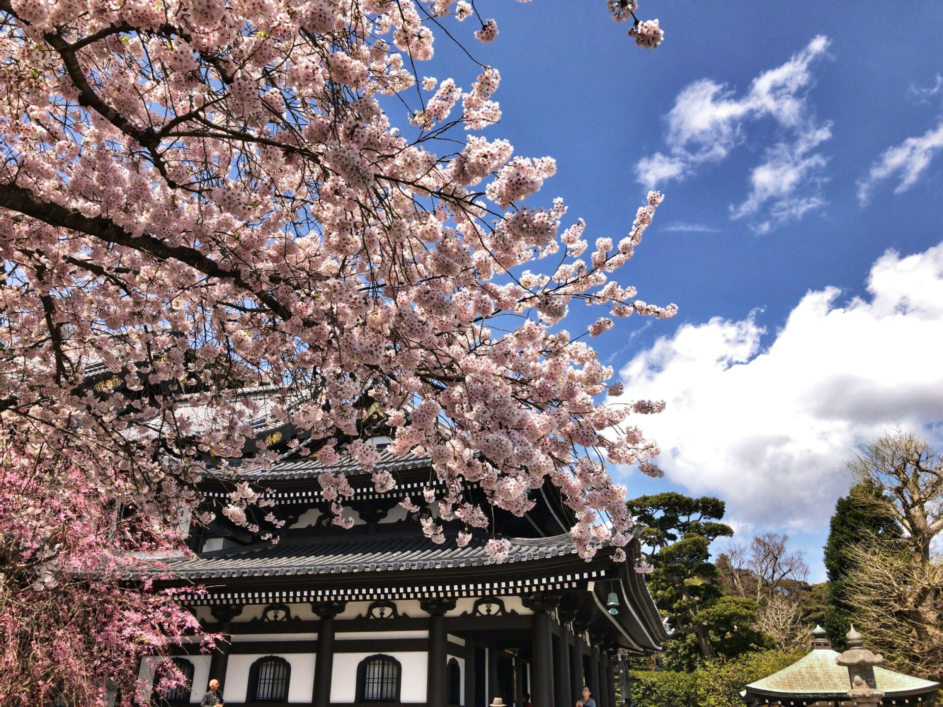 Hasedera Temple